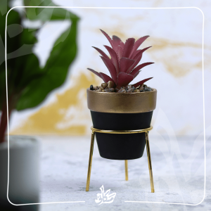 Decor Plants Vase - 2